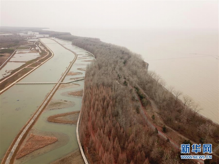 連なる木々が作り上げた洪沢湖ダムの絶景　江蘇省