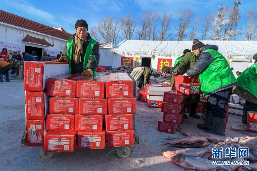ネット販売活用し査干湖の魚を中国各地へ　吉林省
