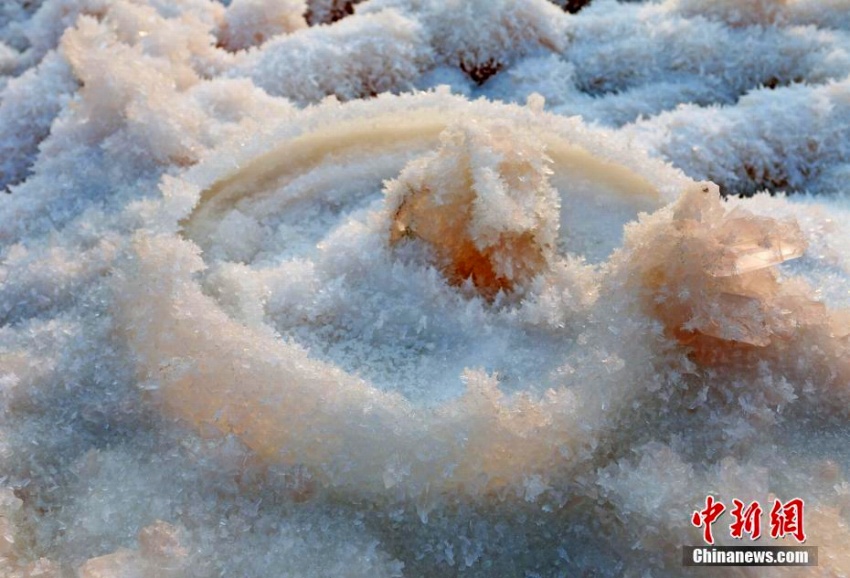 山西省運城塩湖に美しい塩の結晶「硝花」