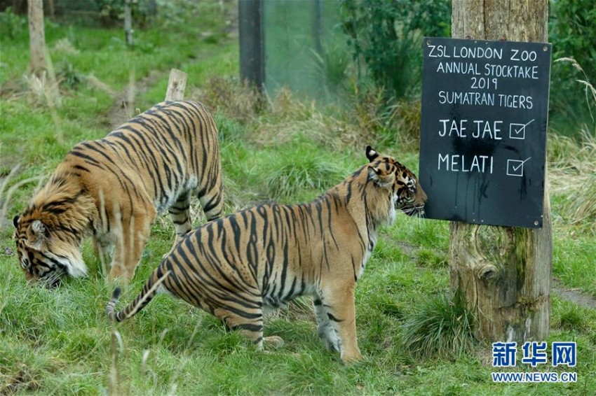 ロンドン動物園で年に1度の動物の数を数える検査