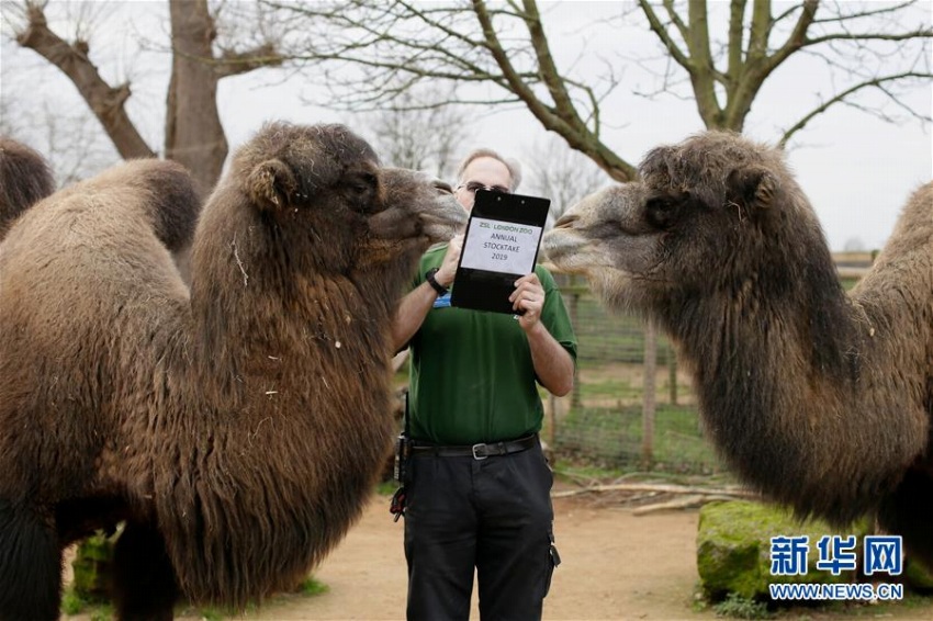 ロンドン動物園で年に1度の動物の数を数える検査