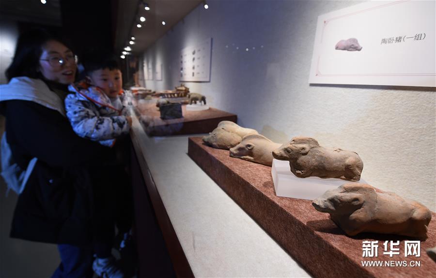 干支の展示品勢ぞろい　南京博物院で猪文化財展