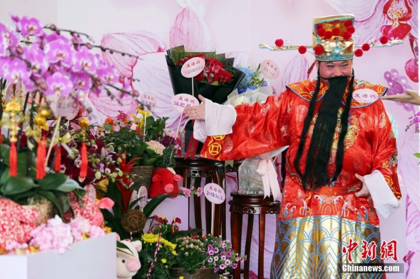新春をランの花で華やかに祝う　香港地区で「新春花市」