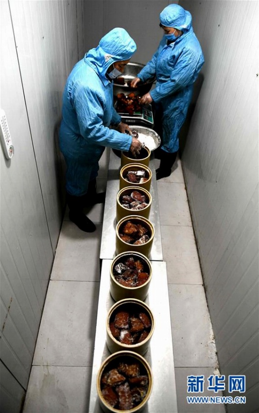 年越しを彩る郷土料理「水渣溝漬け込み肉」　河北省平山県
