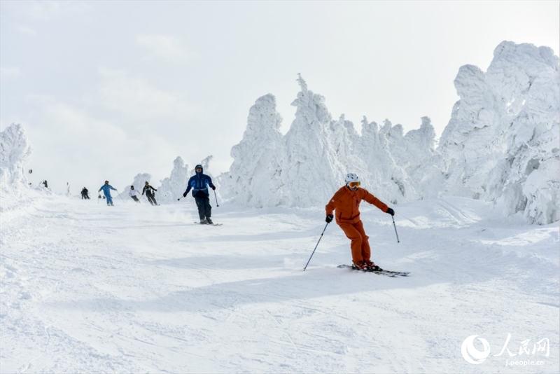 最上部に広がる美しい樹氷原　山形県山形市の蔵王温泉スキー場