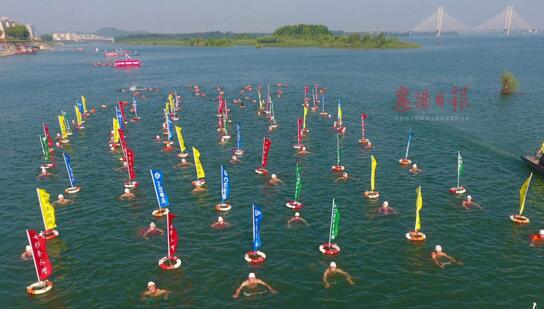 400百名の水泳の達人が漢江ショー披露