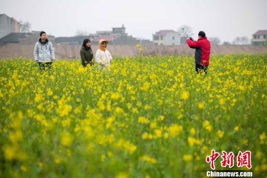 アブラナ開花、春めく江西省の農村