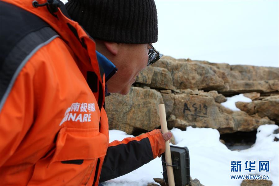 南極のカモメ、中国が初めて赤外線カメラで自動観測