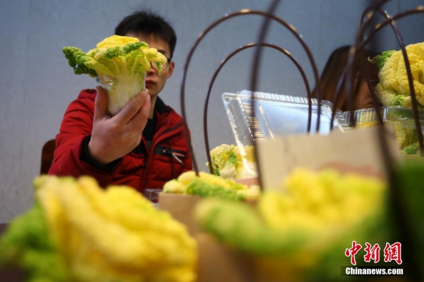 見て美しい、食べて美味しい「バラ白菜」はいかが？　南京農業大学