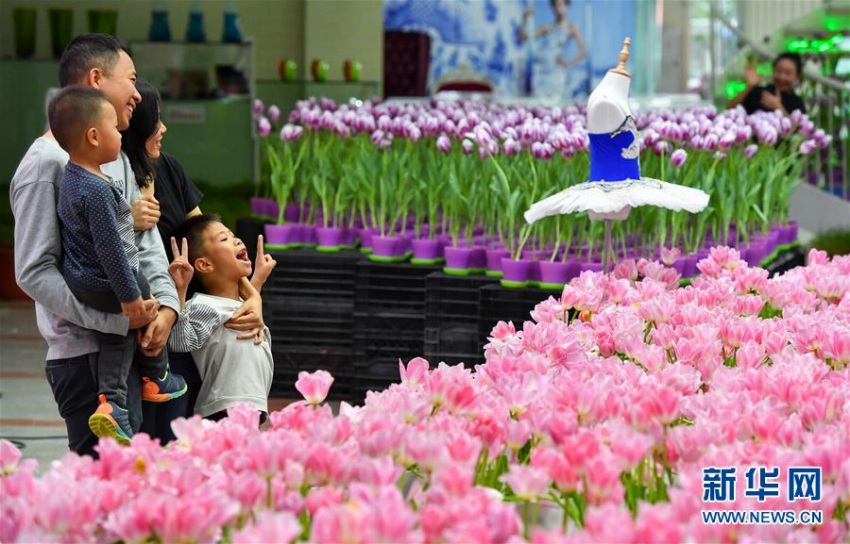 広東省広州市が春節7日間で受け入れた観光客数は延べ1696万人