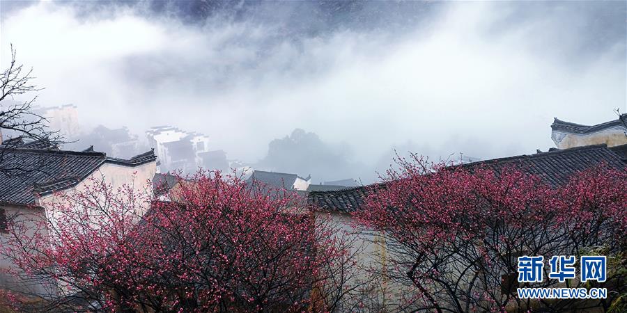江西省の村、もやと梅、古民家がコラボする絶景