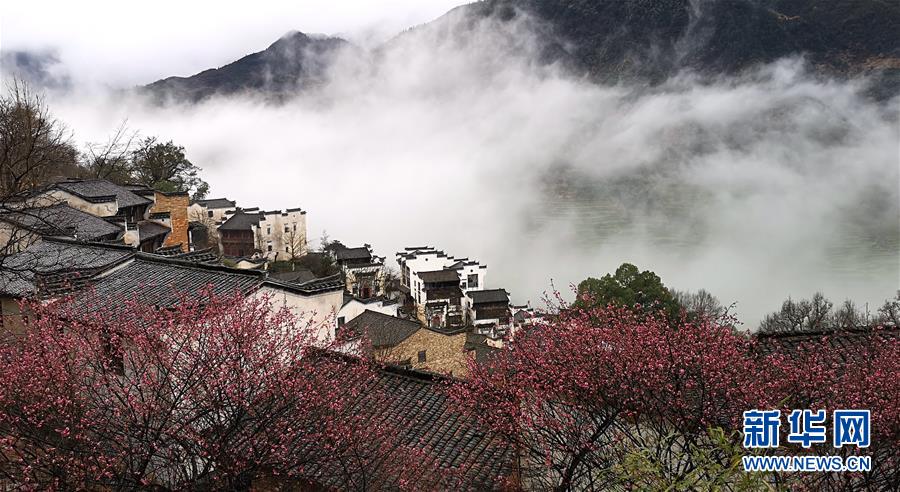 江西省の村、もやと梅、古民家がコラボする絶景