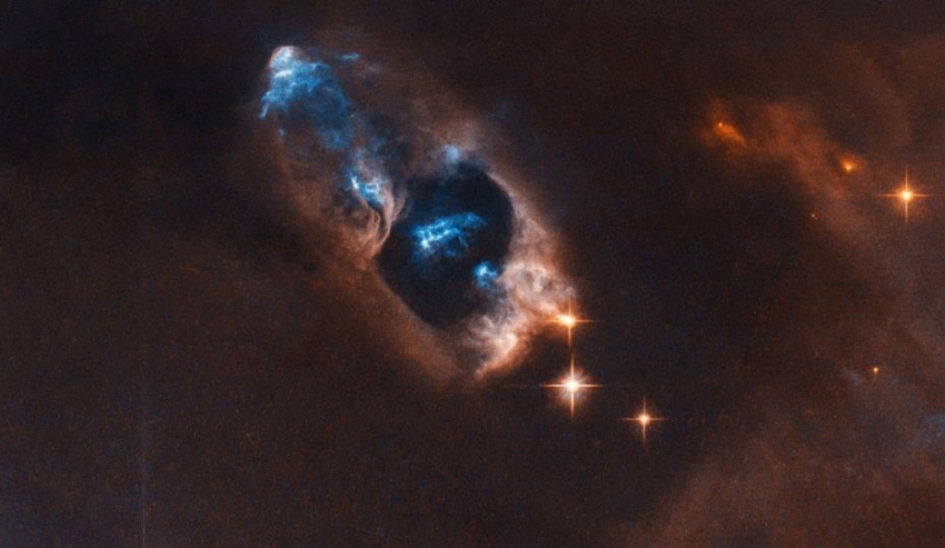 ハッブル宇宙望遠鏡とらえた暗い雲の中に輝く生まれたばかりの若い恒星