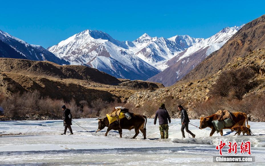 新疆遊牧民の春の大移動　まるで壮大な絵巻物