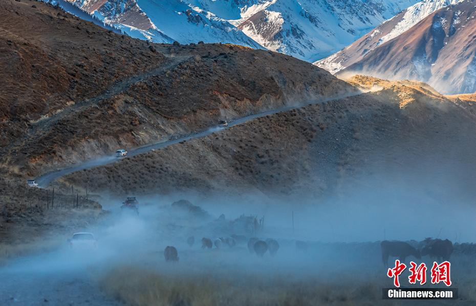 新疆遊牧民の春の大移動　まるで壮大な絵巻物