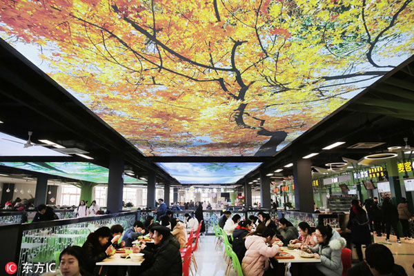 天井一面に風景映し出しピクニック気分味わえる杭州市の大学食堂　浙江省