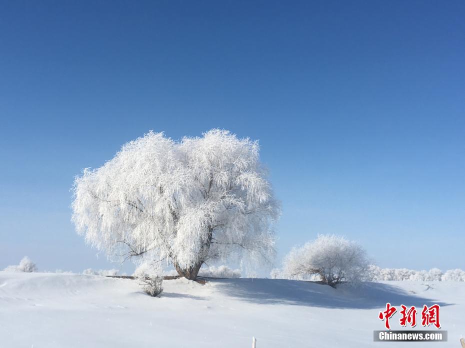 一面の樹氷が織りなす美しい風景　新疆北部の富蕴県