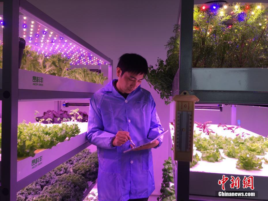 太陽の光を必要としない中国の植物工場を見学　