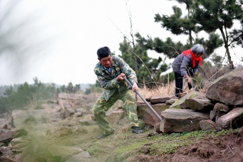 中国「植樹節」40周年記念する初の記念切手発表