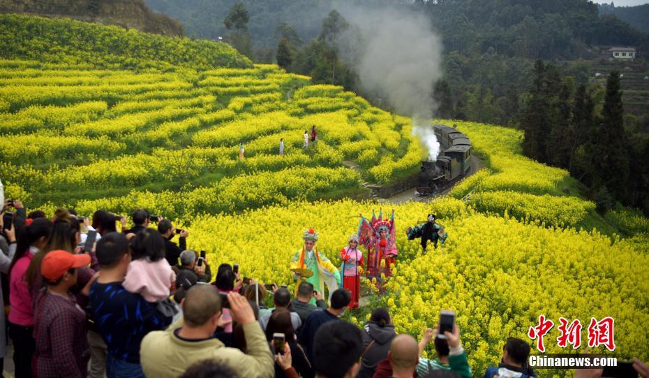 菜の花畑を走り抜ける嘉陽SLをカメラに収める観光客たち（3月12日撮影・劉忠俊）。