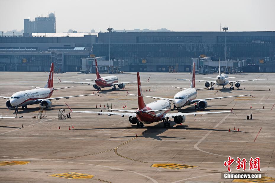 上海虹橋国際空港に駐機されている上海航空公司が所有する9機のボーイング737MAX型機（撮影・殷立勤）。