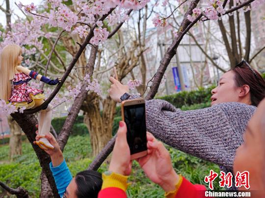 桜色満開！上海静安彫塑公園の桜並木に押し寄せる花見客