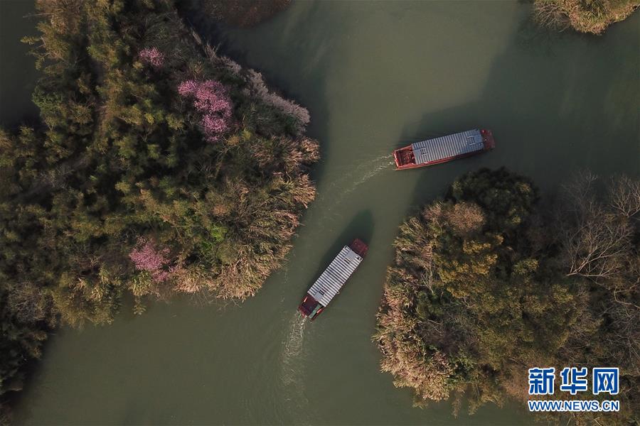 絵のように美しい西溪湿地　杭州市