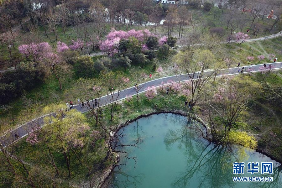 絵のように美しい西溪湿地　杭州市