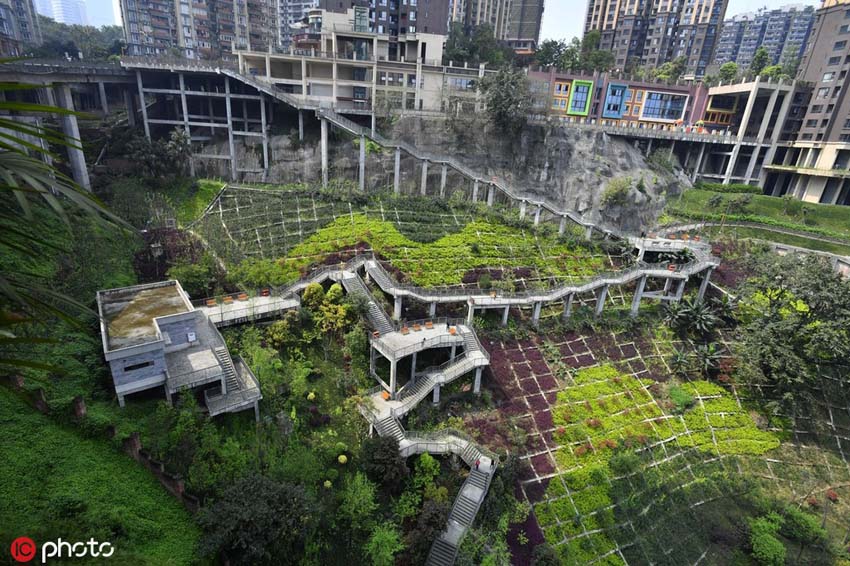 重慶の「壁にかかった公園」、落差70メートルの空中桟道を体験