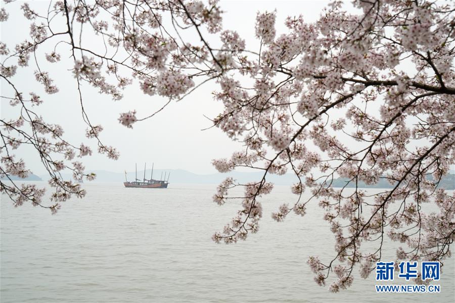 無錫の太湖に春の訪れ　江蘇省