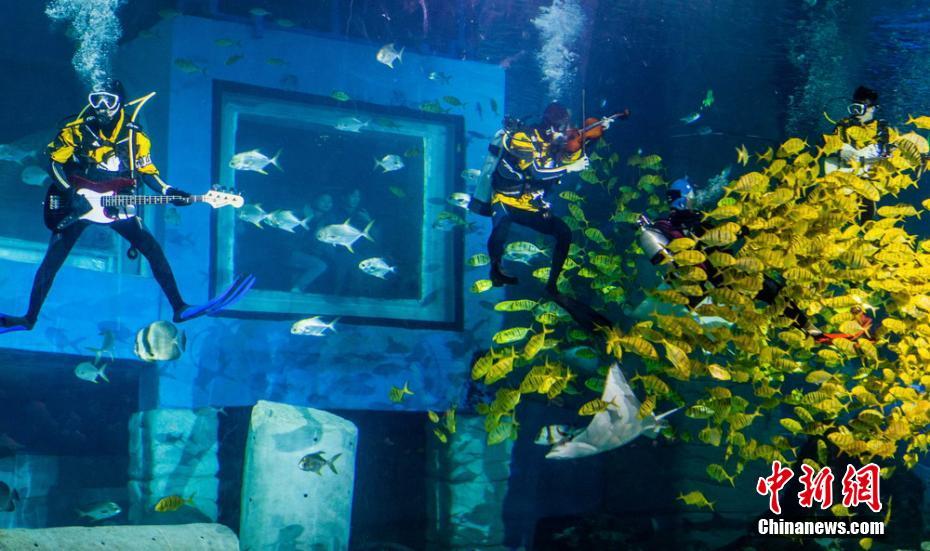 水中のミュージシャン登場！水族館のダイバーが見事なパフォーマンス　広東