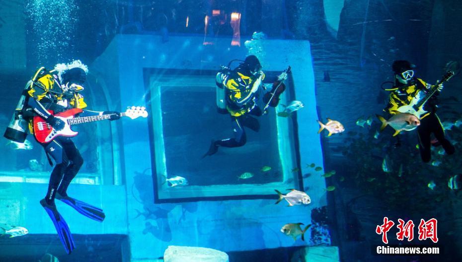 水中のミュージシャン登場！水族館のダイバーが見事なパフォーマンス　広東