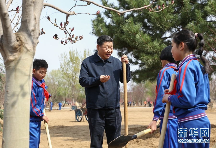 習近平総書記「中華民族の植樹の良き伝統を発揚」
