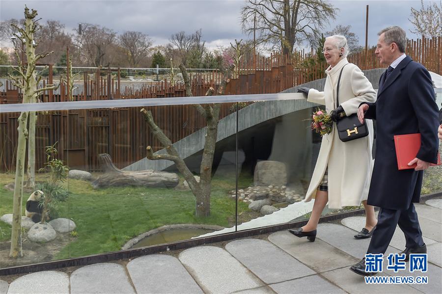 デンマークのコペンハーゲン動物園のパンダ館を見学するデンマークの女王マルグレーテ2世(撮影・郭晨)。