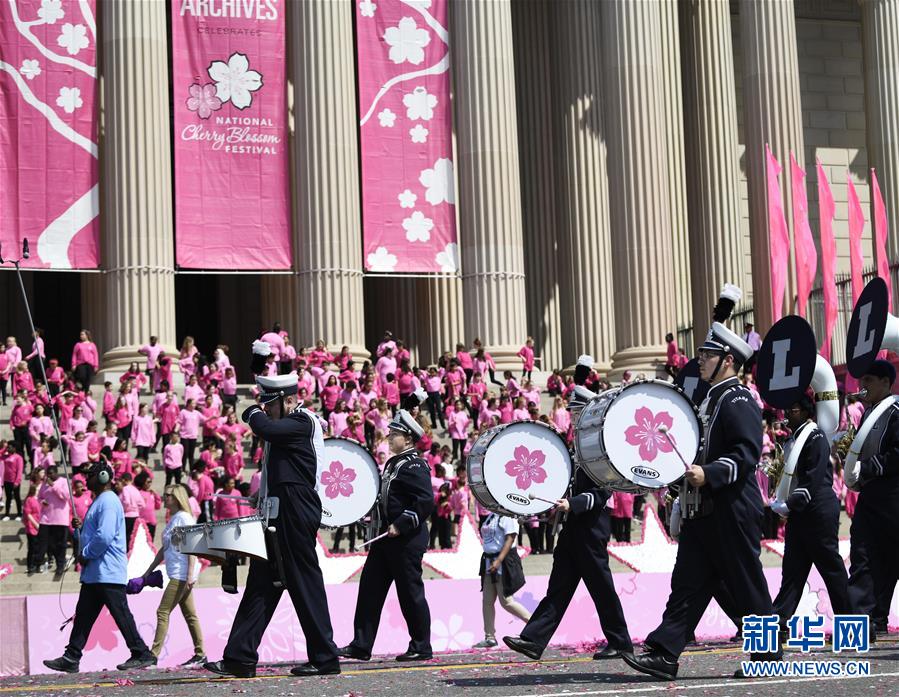 サクラサク！米ワシントンで全米桜祭り