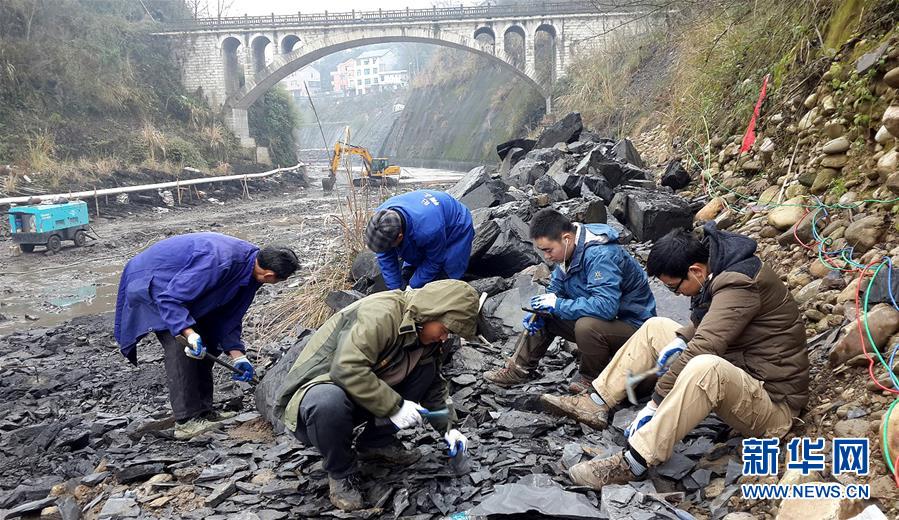 中国の科学者がカンブリア紀の「化石の宝庫」清江生物群を発見
