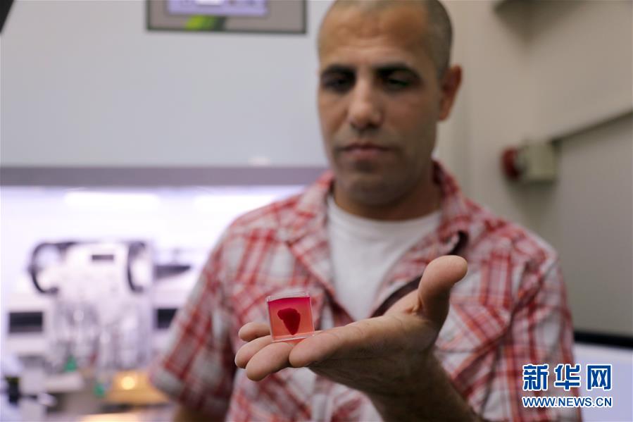 イスラエルの研究者が3Dプリンターで世界初の心臓を作成