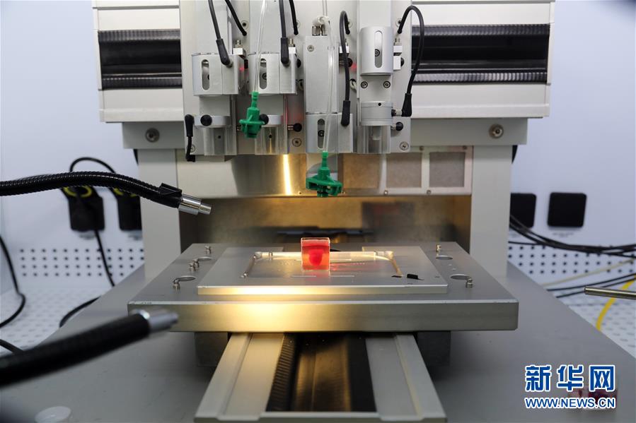 イスラエルの研究者が3Dプリンターで世界初の心臓を作成