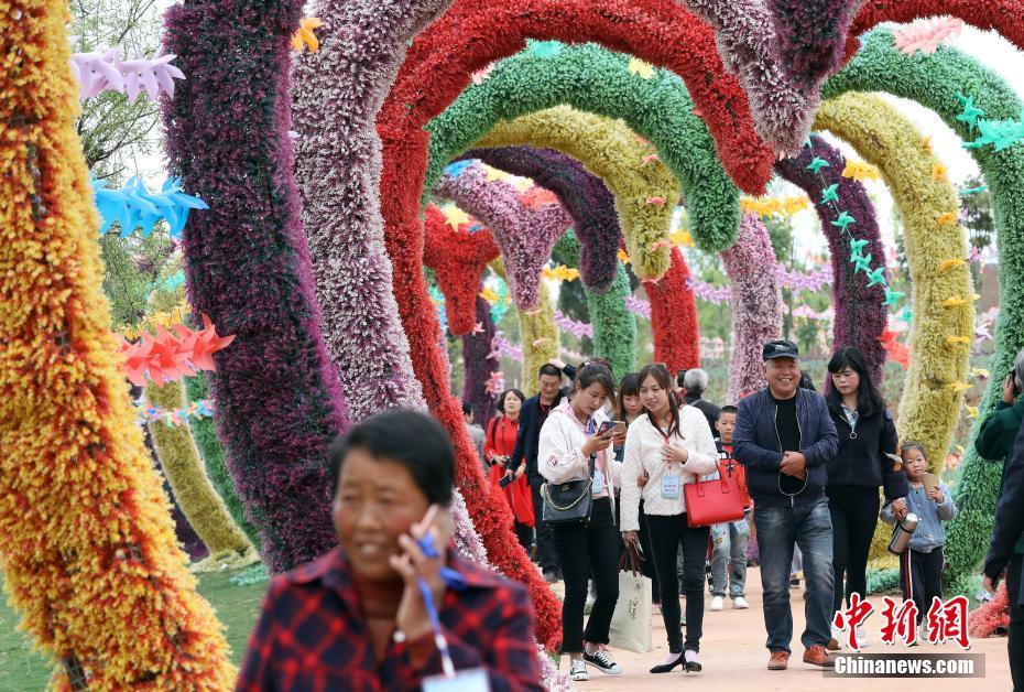 第1回チューリップ祭りが開幕　陝西省洛南県