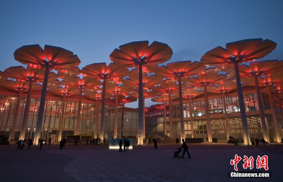 北京世園会　国際館「花の海」がライトアップ