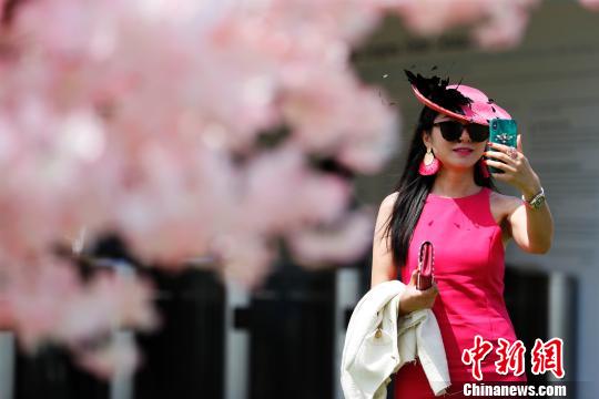 競技場に集まった美しい「花々」たち　上海グローバル馬術チャンピオンズ・ツアー