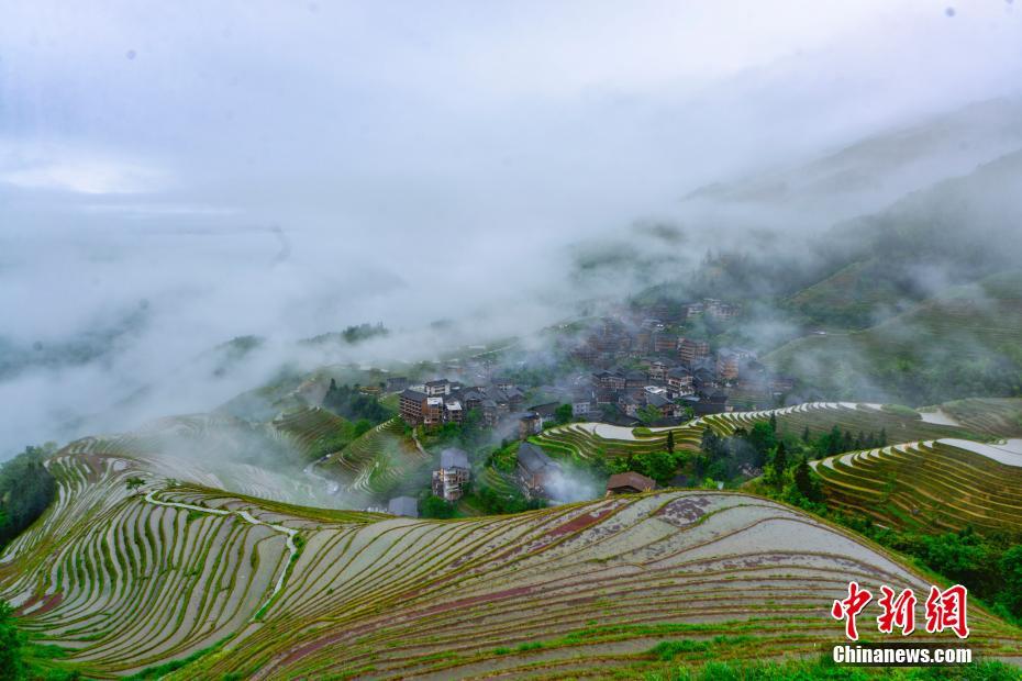 雨上がりの棚田の幻想的な雰囲気楽しめる広西チワン族自治区