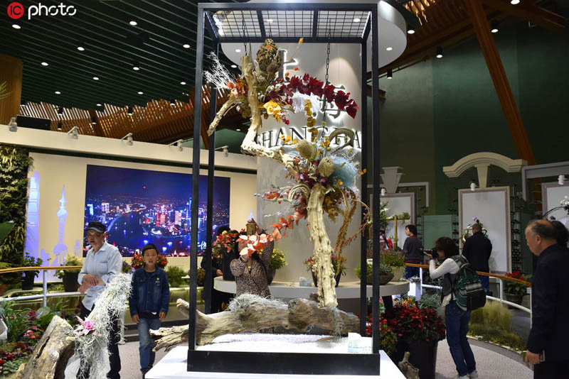 多くの人出でにぎわいを見せている2019年北京世界園芸博覧会。