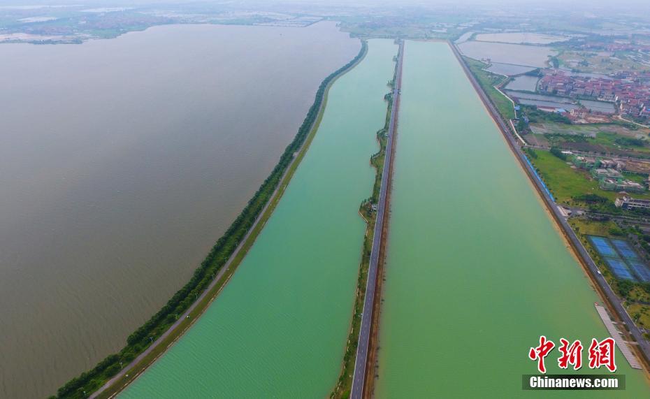 灰色と緑色にくっきり分かれた江西省南昌市の瑶湖