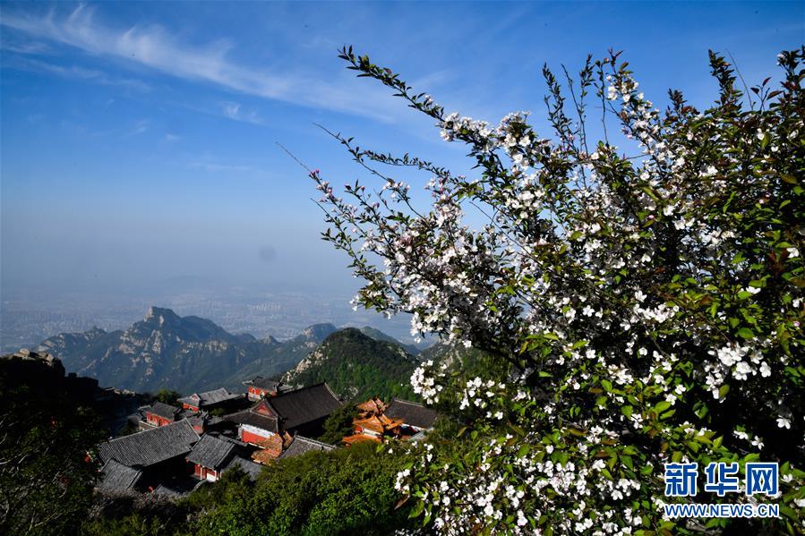 絵のように美しい初夏の泰山　山東省