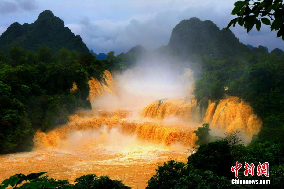 金色に染まるアジア一の越境大瀑布 広西