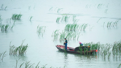 中国最大の淡水湖で漁解禁　江西省