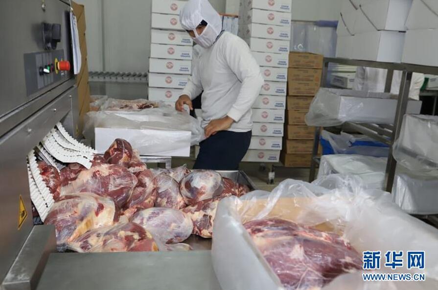 パナマが初の中国への牛肉輸出を開始