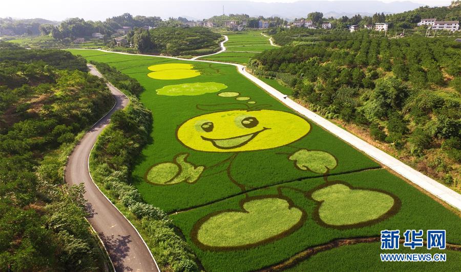 色鮮やかな「田んぼアート」が彩る美しい農村　重慶市忠県