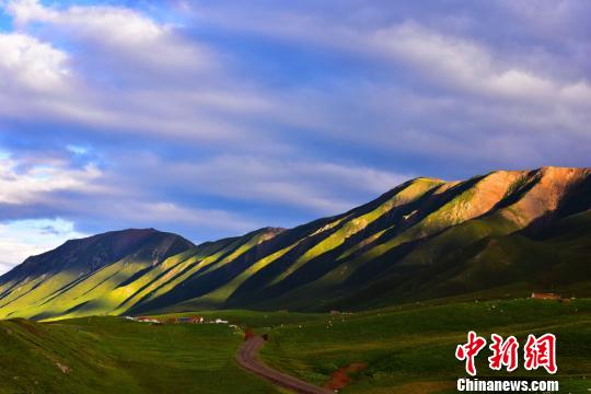 翡翠のごとき草原に点在する牛と羊　甘粛省南部の7月